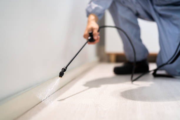Licensed Rodent Control service in North Lauderdale, FL - Nex Pest Control