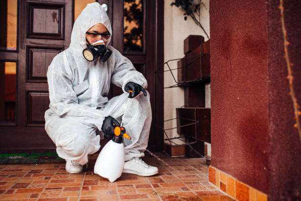 Reliable Rodent Control contractor in North Lauderdale, FL by Nex Pest Control