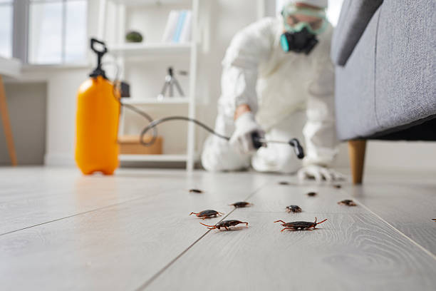 Trusted Rodent Control service in North Lauderdale, FL - Nex Pest Control