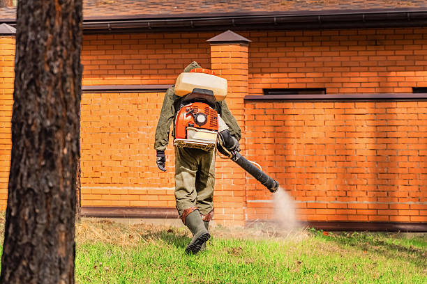 Trusted Termite Control service in North Lauderdale, FL - Nex Pest Control